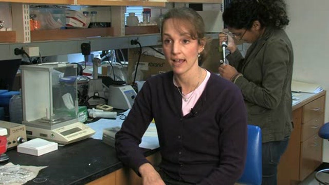 Chinese Herbal Treatments for Asthma Thumbnail
