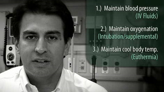 Management of Closed Head Injuries Thumbnail