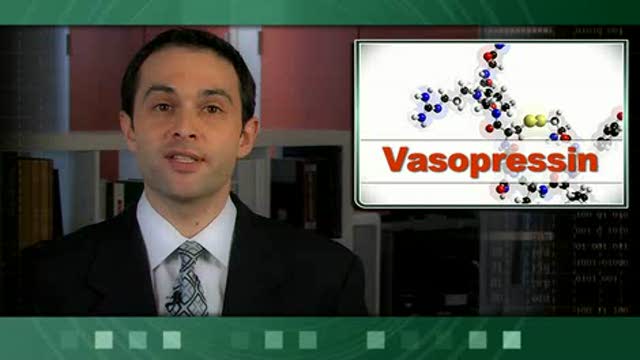Low-Dose Vasopressin Does Not Reduce Septic Shock Mortality Thumbnail