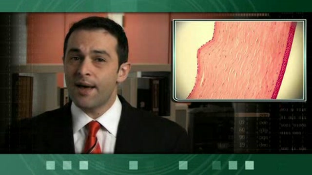 New Development in Diabetes Research Thumbnail