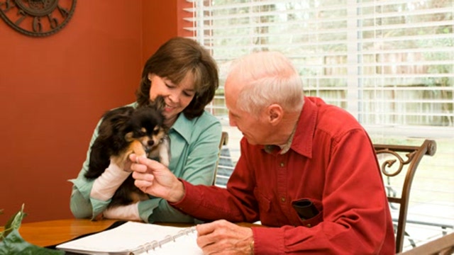 The Role of the Veterinary Oral Health Council Thumbnail