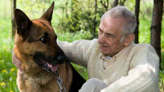 How Pets Can Improve Our Health Thumbnail