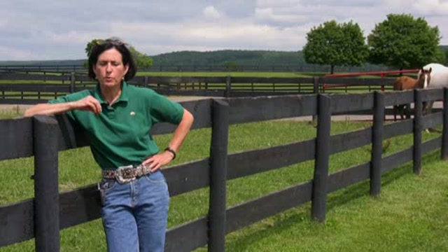 Equine Ehlers-Danlos Syndrome (HERDA) Thumbnail