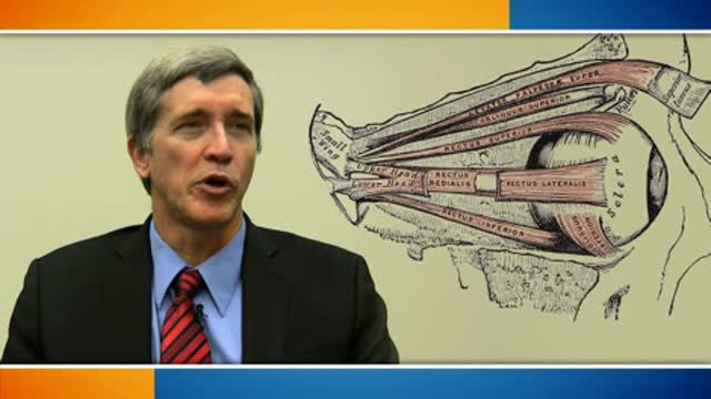 Eye muscles and vision Thumbnail