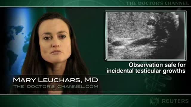 Active surveillance is a safe alternative for small testicular masses Thumbnail