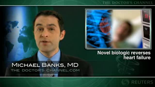 Recombinant human neuregulin-1 improves chronic heart failure Thumbnail