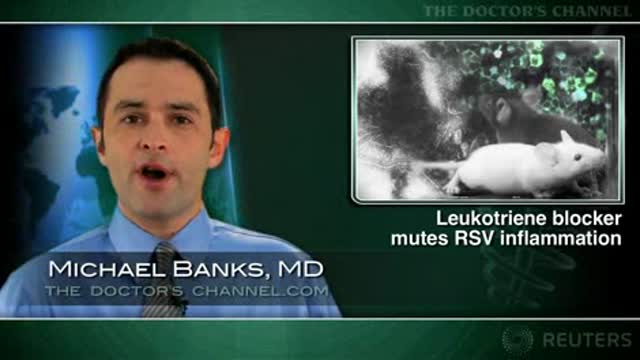 Montelukast in primary RSV ameliorates re-infections Thumbnail
