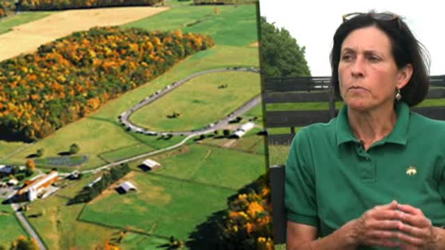 Equine research park at Cornell Thumbnail