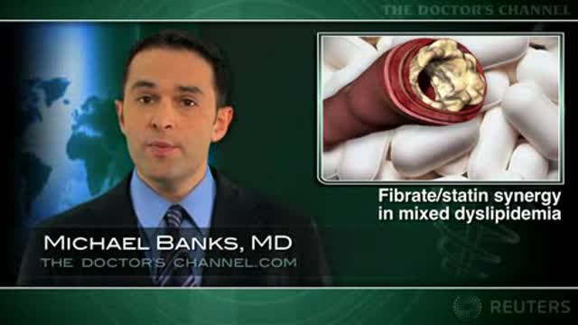 Fibrate/Statin Synergy in Mixed Dyslipidemia Thumbnail