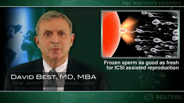 Frozen sperm as good as fresh for ICSI assisted reproduction Thumbnail