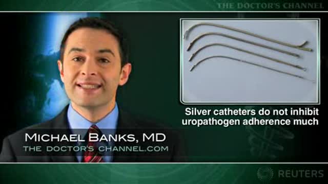 Silver-impregnated urinary catheters don’t inhibit pathogen adherence significantly Thumbnail