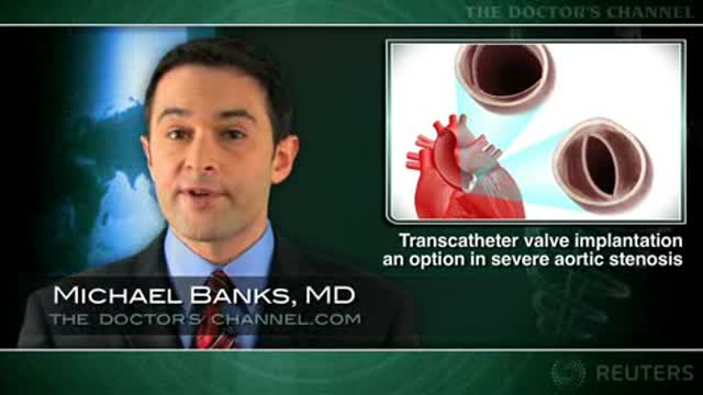 Transcatheter valve implantation advantageous in some cases of aortic stenosis Thumbnail