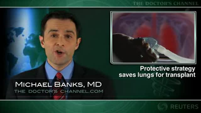 Better ventilation strategy saves lungs for transplant Thumbnail