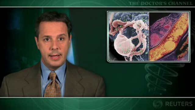 Immediate ART not beneficial in HIV-related tuberculous meningitis Thumbnail