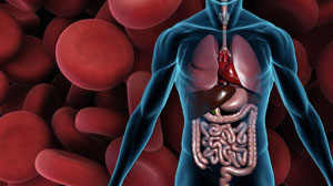 Pre-endoscopy erythromycin improves visualization of bleeding ulcers Thumbnail