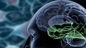 Early surgery beneficial in intractable temporal lobe epilepsy Thumbnail