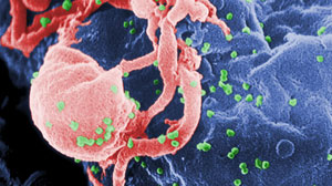Second Dose of Meningococcal Vaccine Improves Response Rates in HIV-infected Youth Thumbnail