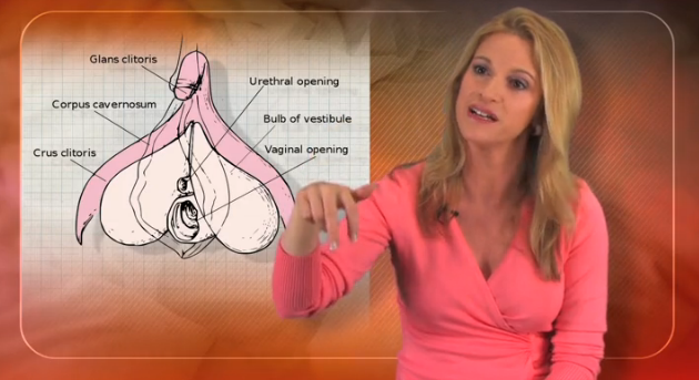 Vaginal vs. Clitoral Orgasm Thumbnail
