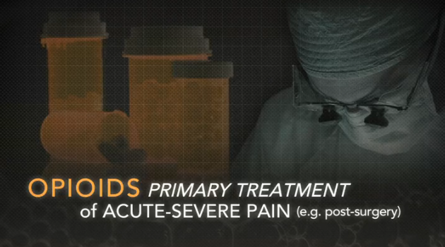 Opioid Therapy for Persistent and Breakthrough Pain in the Medically Ill Thumbnail
