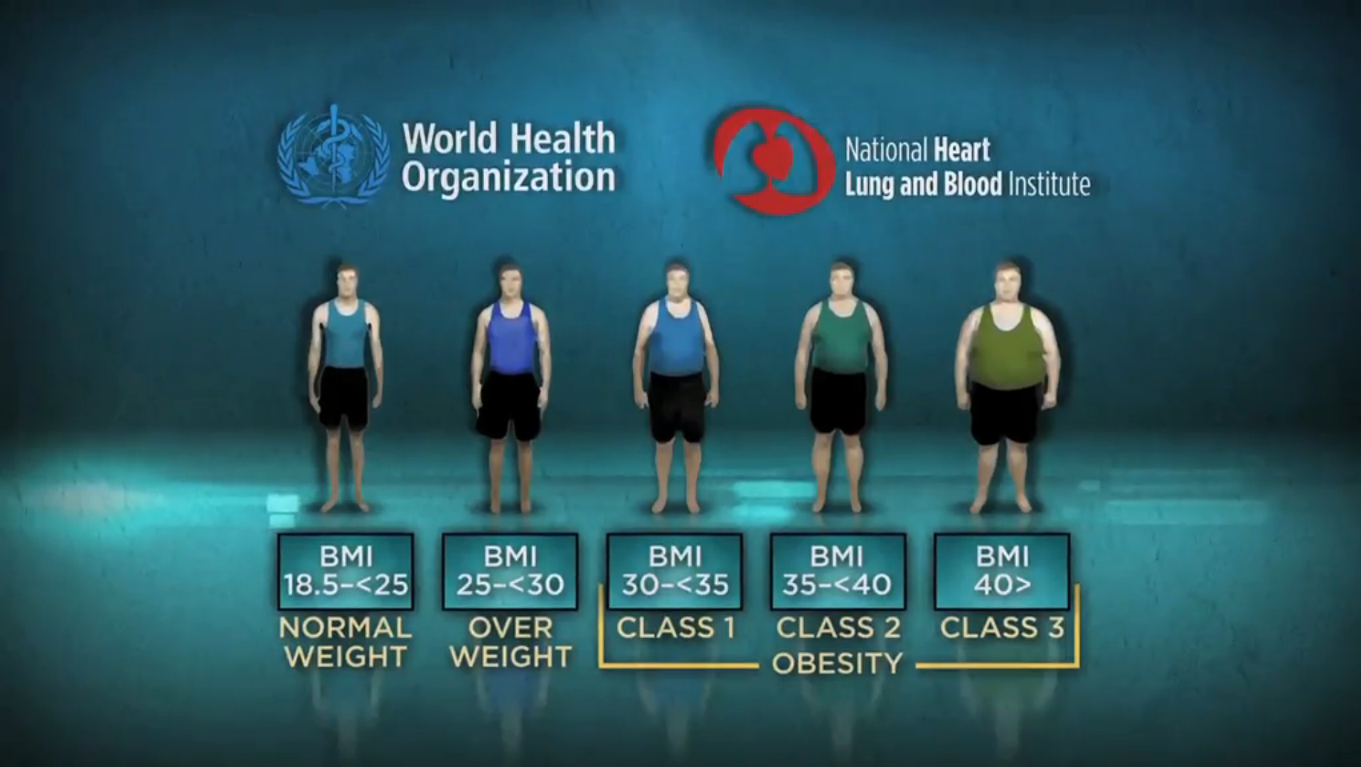 Being Overweight Appears Associated with Slightly Lower All-Cause Mortality Relative to Normal Weight Thumbnail