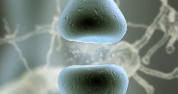 Rafael Yuste: How We’re Decoding the Entire Human Brain Within a Few Decades Thumbnail