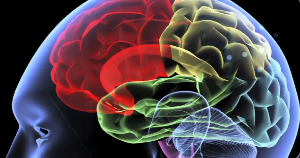 Rafael Yuste: 3 Ways the Brain Activity Map Will Revolutionize Medicine Thumbnail