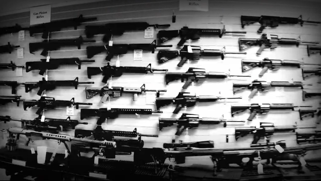 The NRA’s Secret War Against Science and CDC Thumbnail