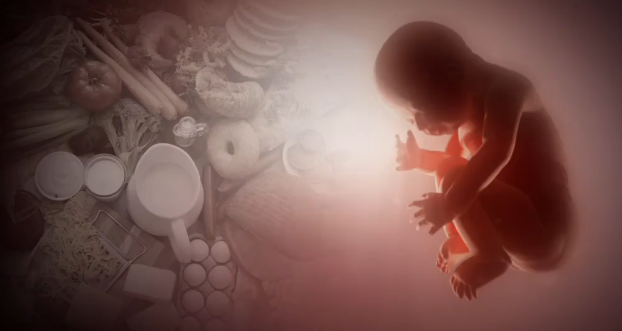 Can We Prevent Schizophrenia In Utero? Thumbnail