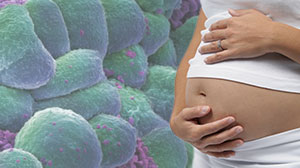 Prognosis Good for Breast Cancer Diagnosed During Pregnancy Thumbnail