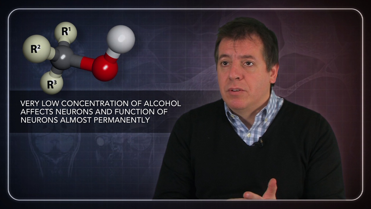 How Alcohol Permanently Affects the Genes of Neurons Thumbnail
