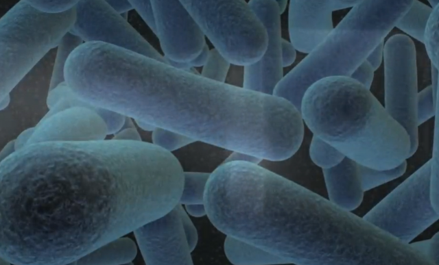 Gut Microbe Gene Sequencing May Provide Future Therapies Thumbnail