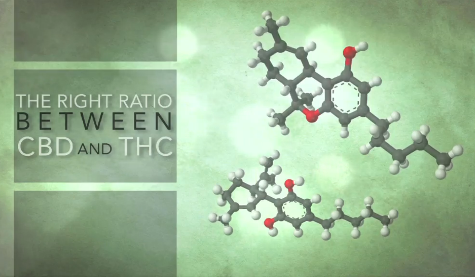 Finding the Right Ratio for Medical Marijuana Thumbnail