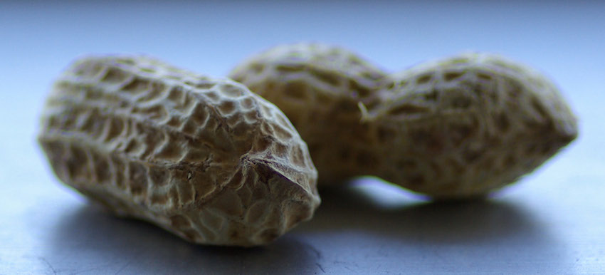 New Patch to Prevent Peanut Allergy Hits US Market Thumbnail