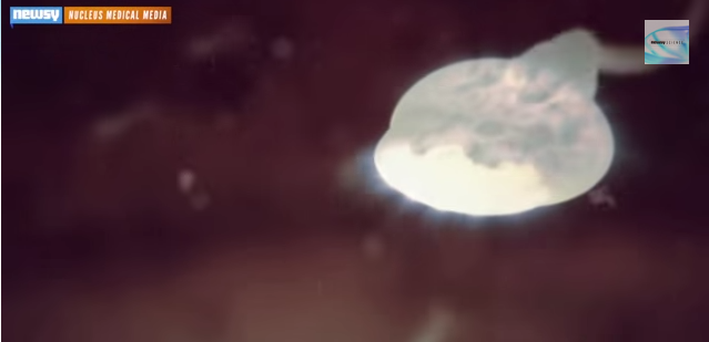 How Will Lab-Created Sperm and Eggs Change the World of Science? Thumbnail
