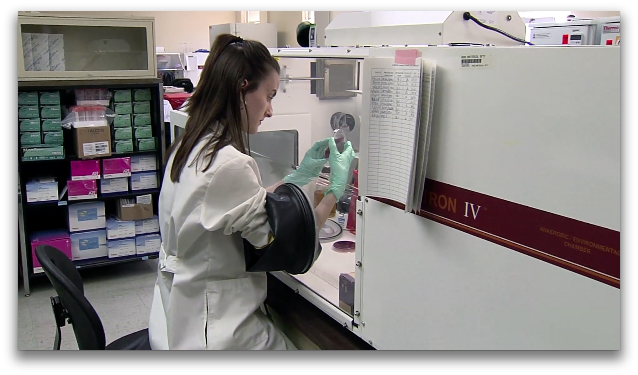 Non-Aggressive Strain of Bacteria Helps Reduce Recurrent C. Difficile Infection Thumbnail