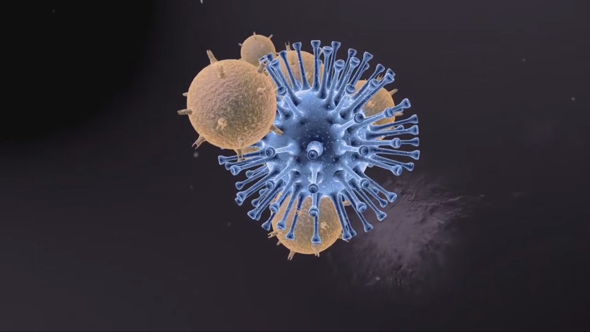 Oncology Drug Combination Effective at Shrinking 60% of Melanomas Thumbnail