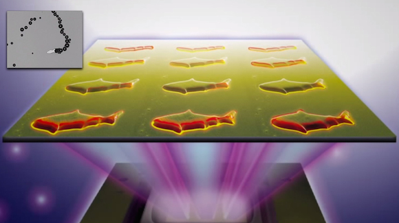 Microscopic Robot Fish Might Soon Revolutionize Medication Delivery Thumbnail