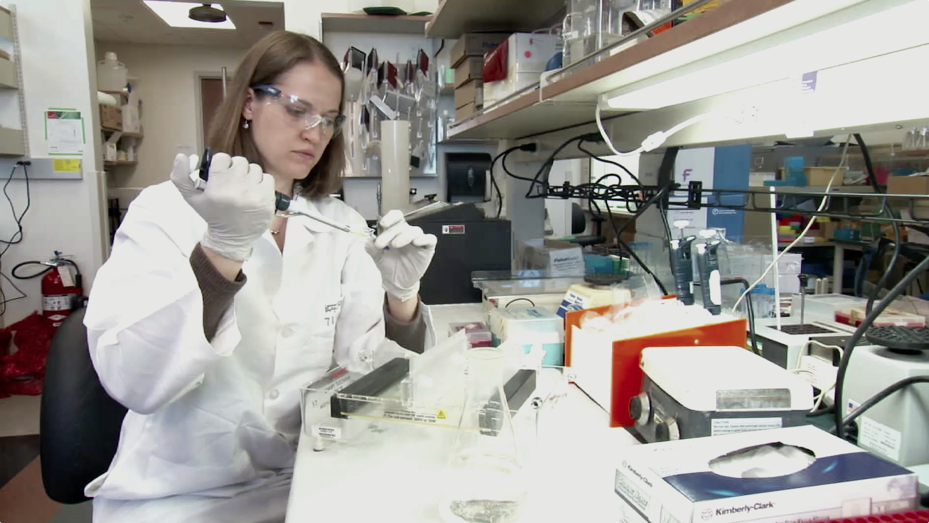New Prodrug Uses Peptide to Carry Toxin into Cancer Cells Thumbnail