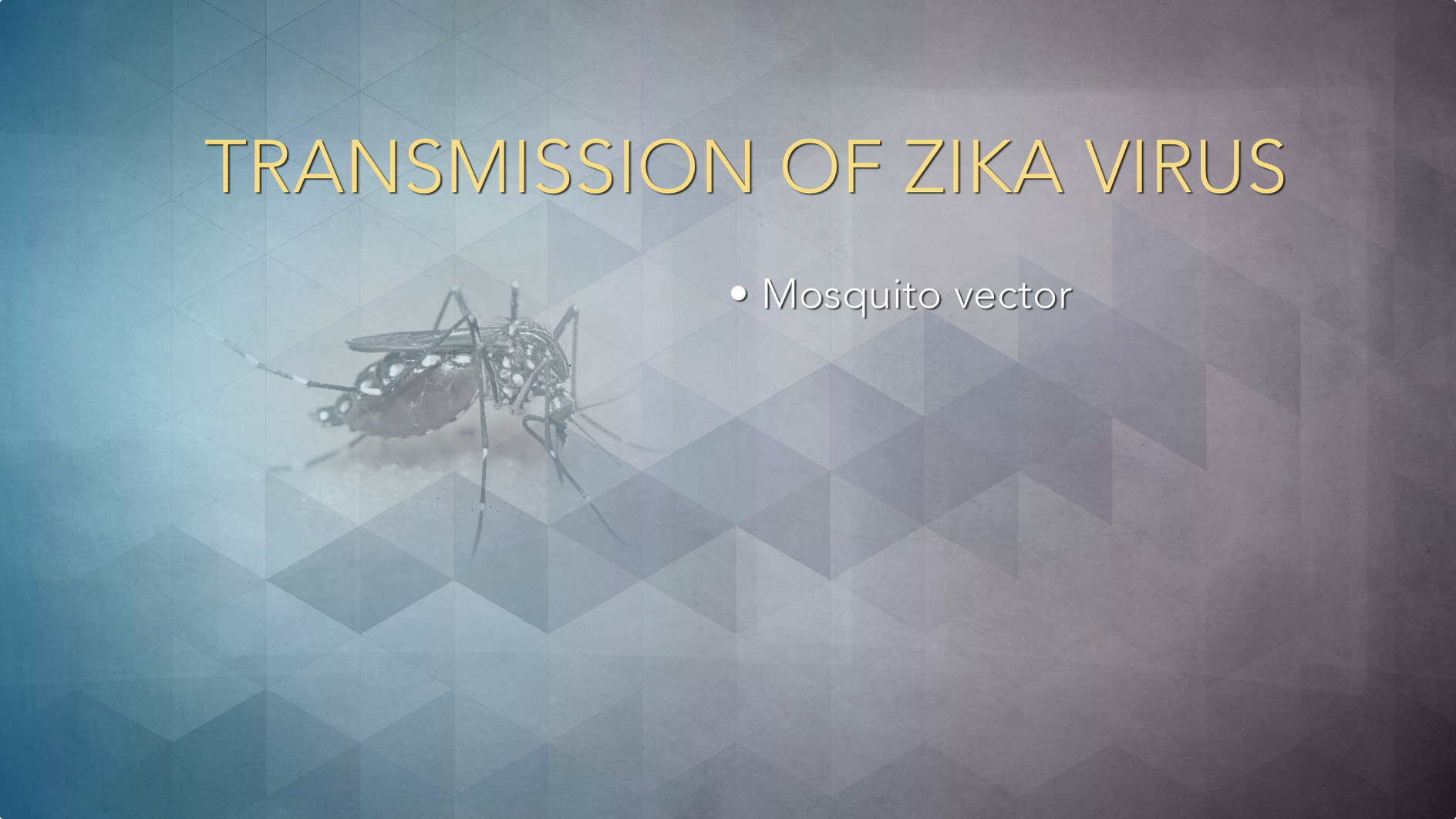 Exploring the Risk Factors and Symptoms of Zika Virus Thumbnail