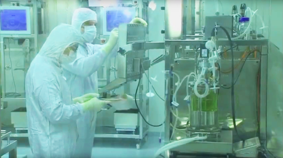 Placental Cell Therapy is Potential Radiation-Poisoning Cure Thumbnail