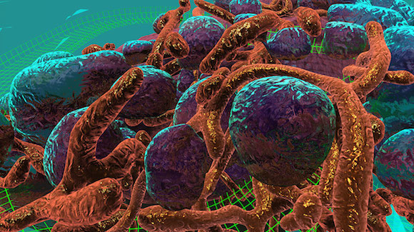 Virtual Reality Goes Nano with Breast Cancer Cell Simulation Thumbnail