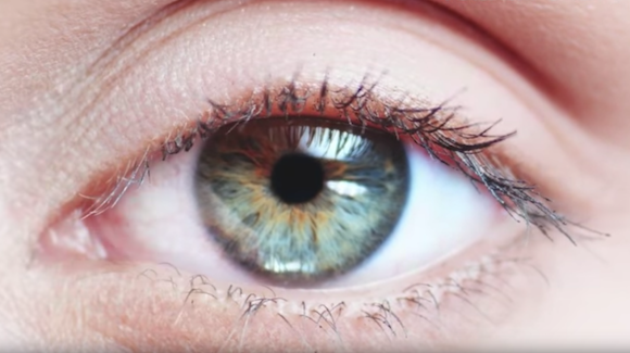 Lab-Grown Cornea Cells Repair Blindness in Animals Thumbnail