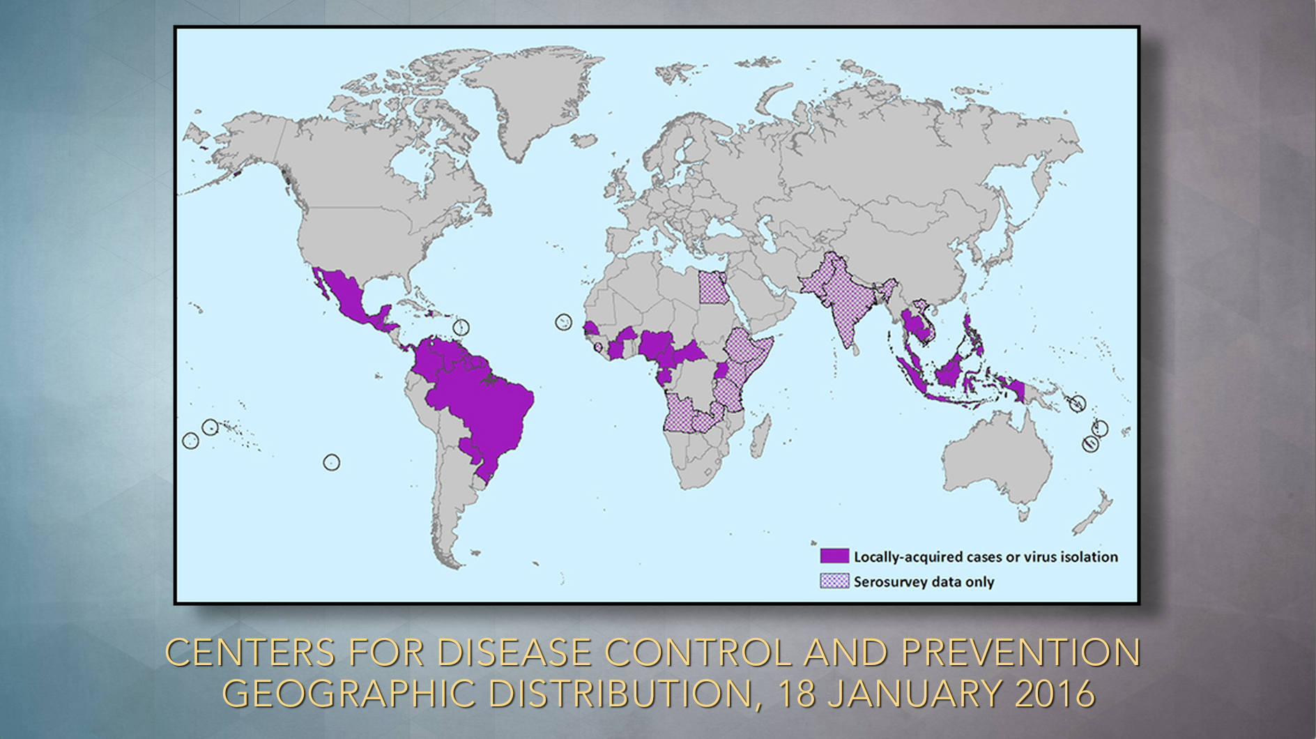 Still No Effective Treatment for Zika Virus Thumbnail