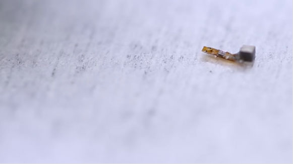 Electroceutical “Neural Dust” Monitors and Translates Nerve Impulses Thumbnail