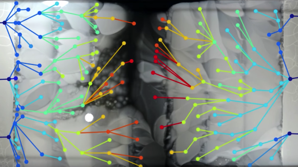 Mutations Rapidly Overcome High Concentrations of Antibiotic Thumbnail