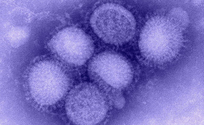 How Does Ethnicity Affect Influenza Vaccine Responses? Thumbnail