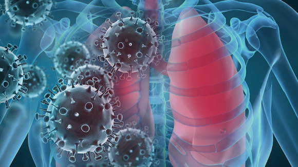 Can a Nano-Decoy Destroy Influenza A? Thumbnail