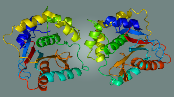 Promising New Immunotherapy Treatment for Bladder Cancer Thumbnail