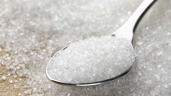 The Xylitol Solution Thumbnail