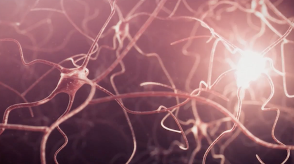 Deficits in Cellular Recycling May Be Key to Better Understanding Parkinson’s Disease Thumbnail